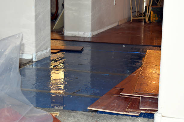 Professional Burst Pipe Cleanup technician working in North Oxford, MA